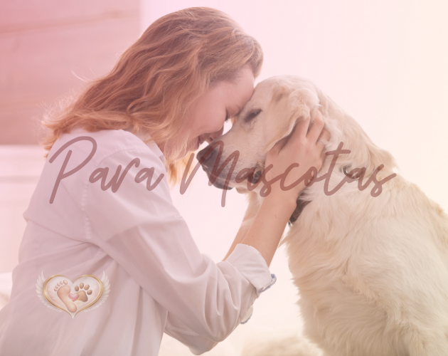img-para-mascotas